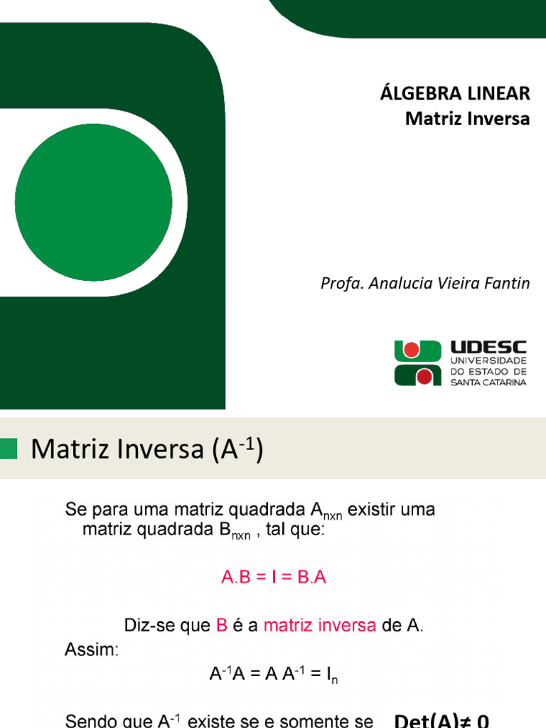 Matriz Inversa: Conceitos e Cálculos | PDF | Matriz (Matemática ...
