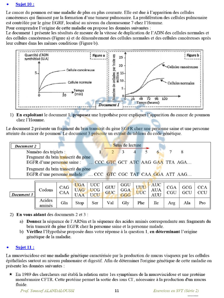 2 1 Ex Unit2 Sujets | PDF