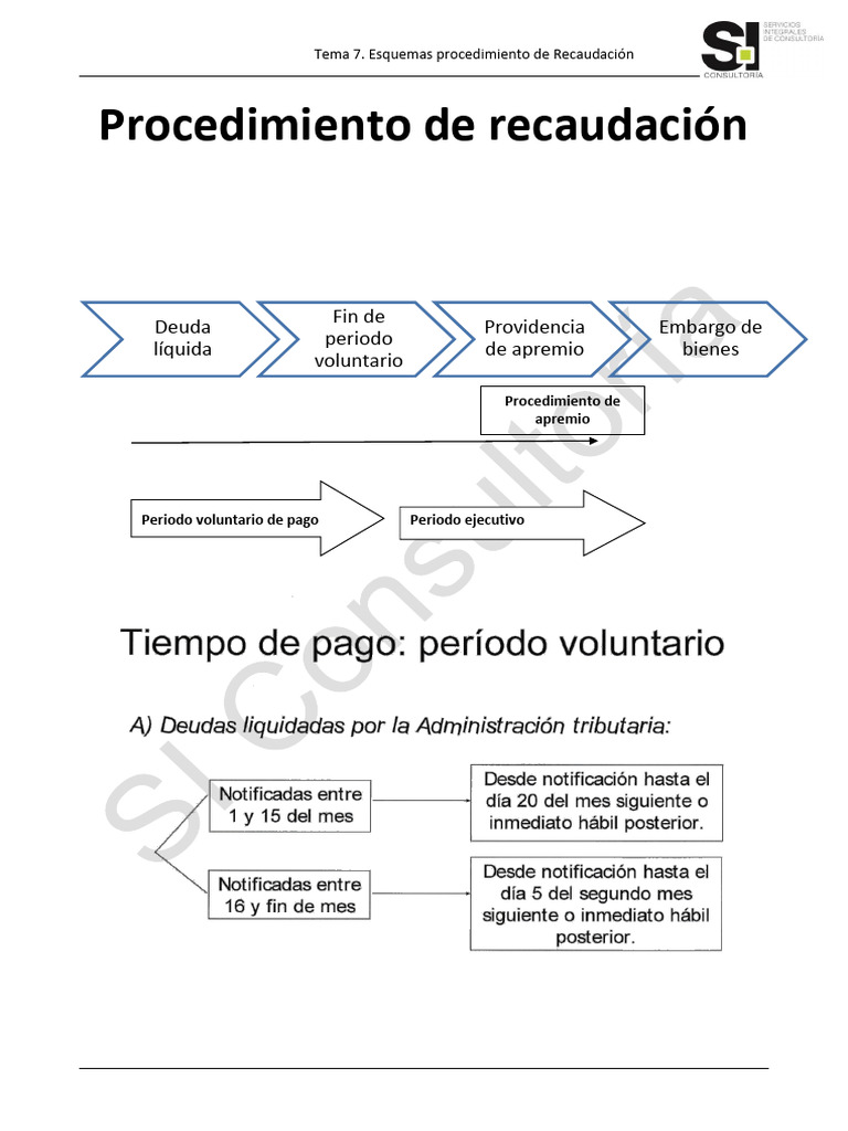 Esquemas Recaudación Tributaria | PDF
