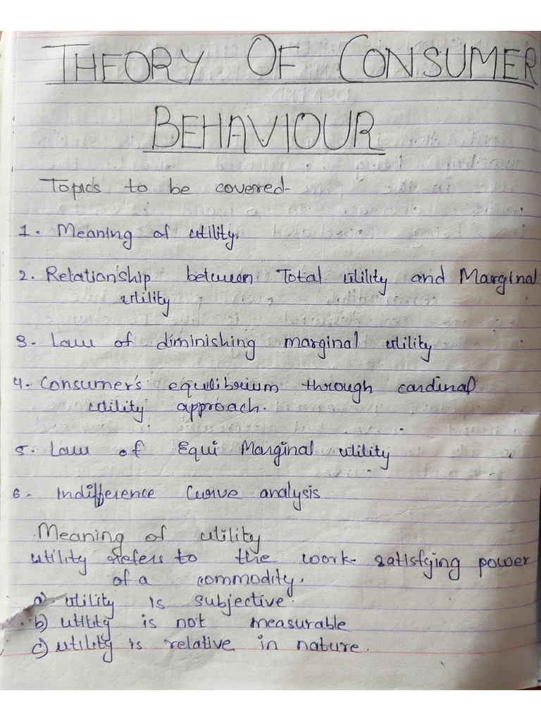 Theory of Consumer Behaviour | PDF