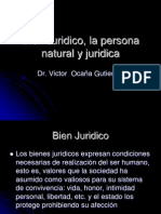 3.-La Persona Natural Juridica