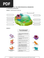 Download Cell Structure and Organisation by azamsensei SN97877013 doc pdf