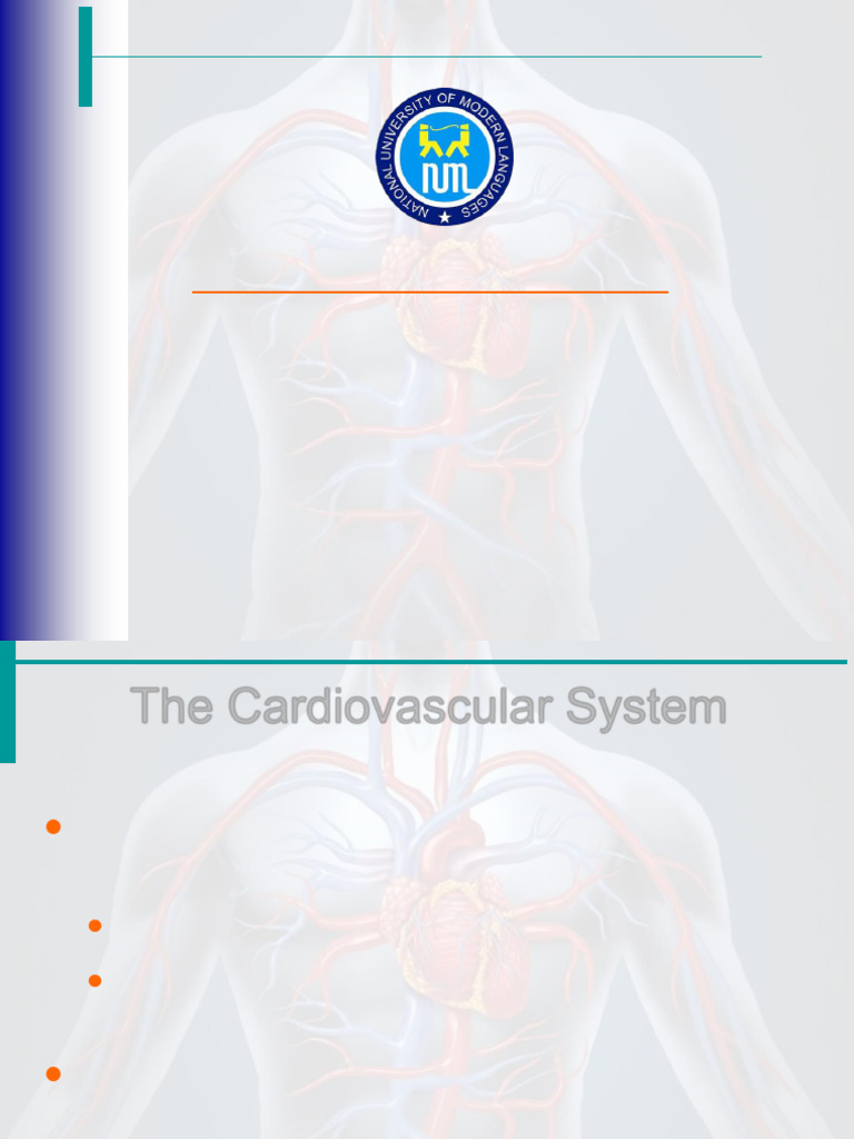Overview of the Cardiovascular System | PDF | Heart | Heart Valve