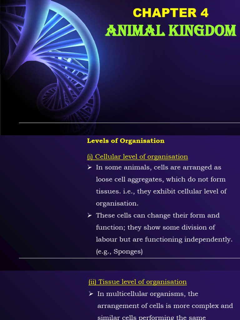 Levels of Organization in Animal Kingdom | PDF | Sponge | Zoology