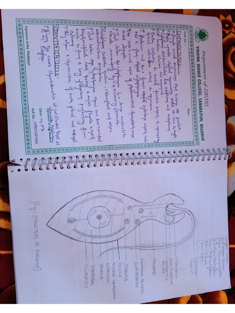 Zoology CC 1 Practical PDF | PDF