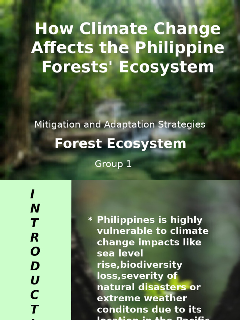 Climate Change Impact on Philippine Forests | PDF | Forest Management ...