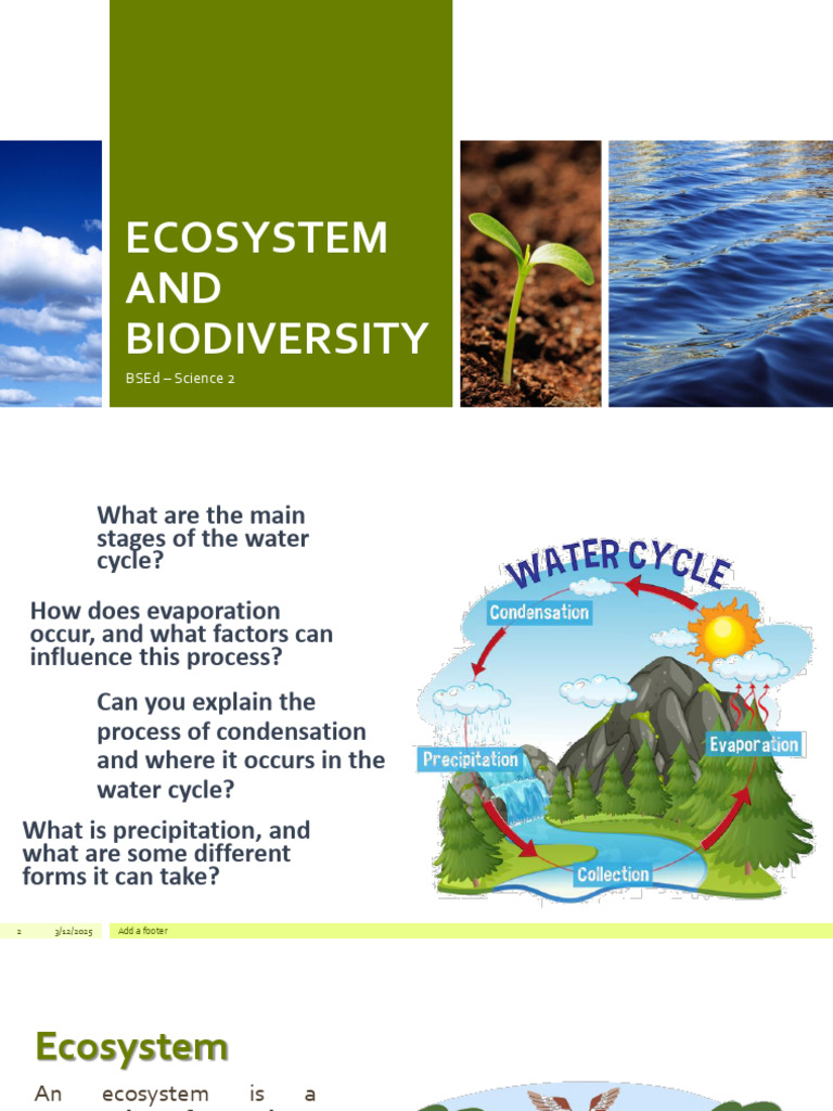 Ecosystem Structure and Energy Flow | PDF