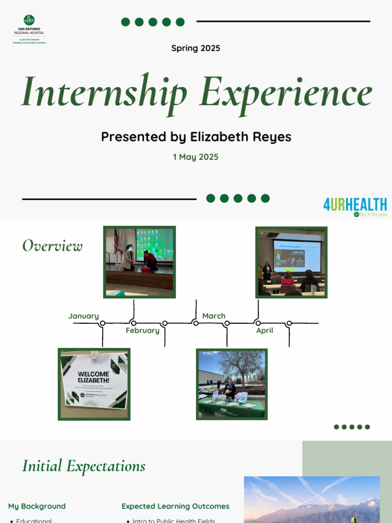 Spring 2025 Internship Experience Summary | PDF