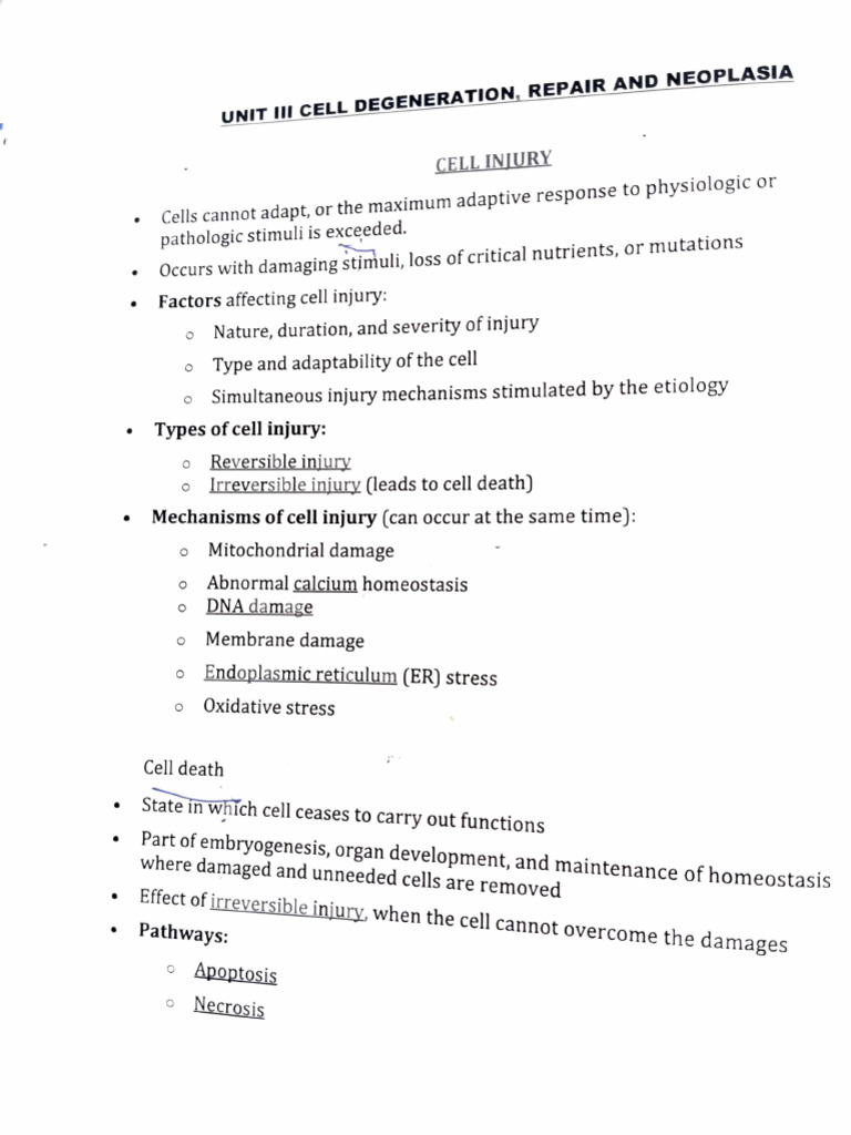 Biosciences Unit 3 Lecture Notes | PDF