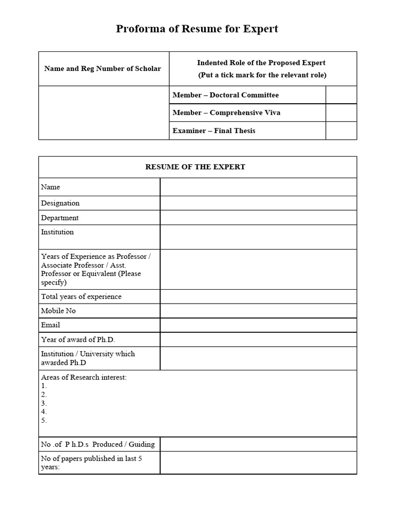 Expert Resume Proforma Template | PDF