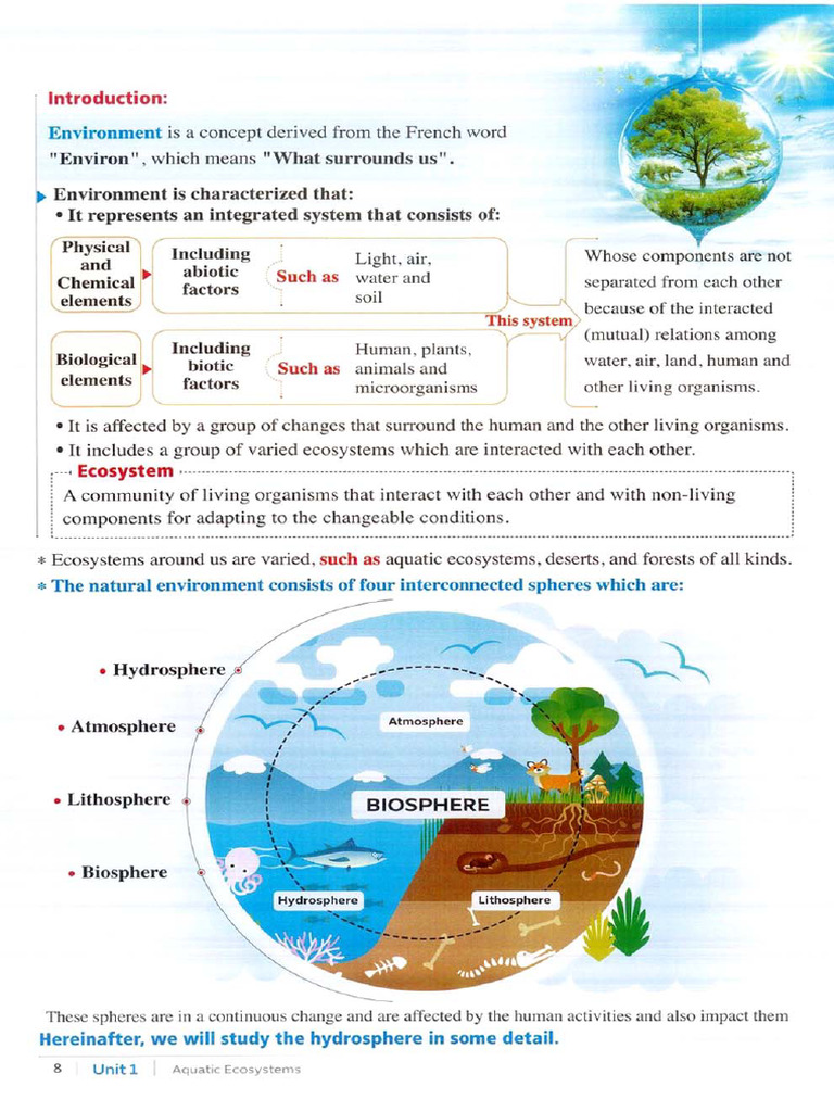 Science Lesson 1 | PDF