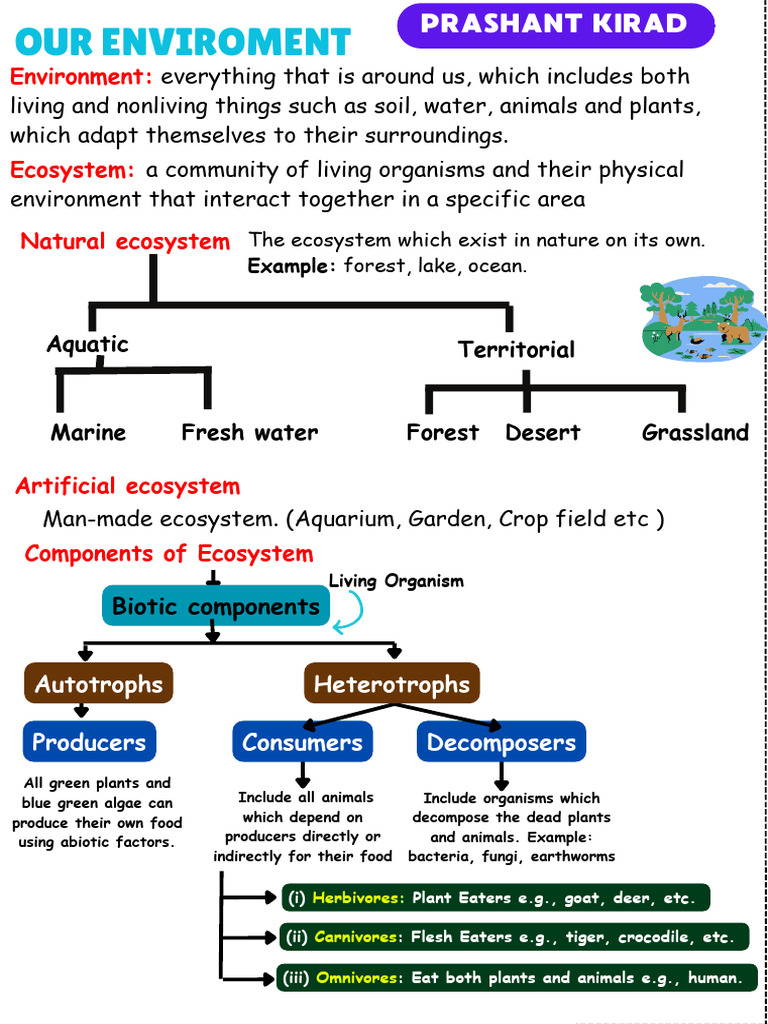 Understanding Ecosystems and Waste Management | PDF | Ecosystem | Food Web