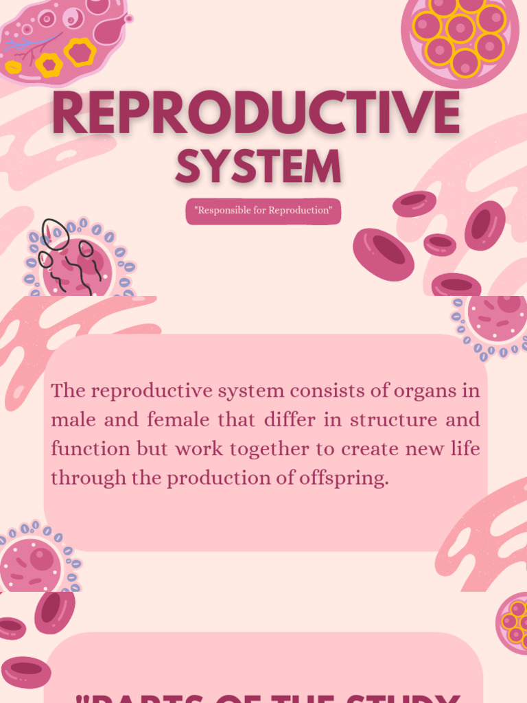 Reproductive-systemResponsible-for-Reproduction 20251202 214048 0000 ...