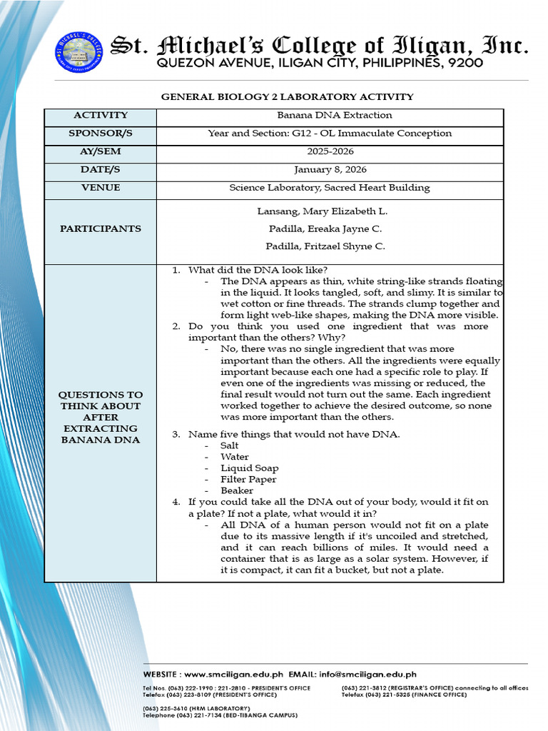 Banana DNA Extraction Lab Activity | PDF | Biochemistry | Chemistry