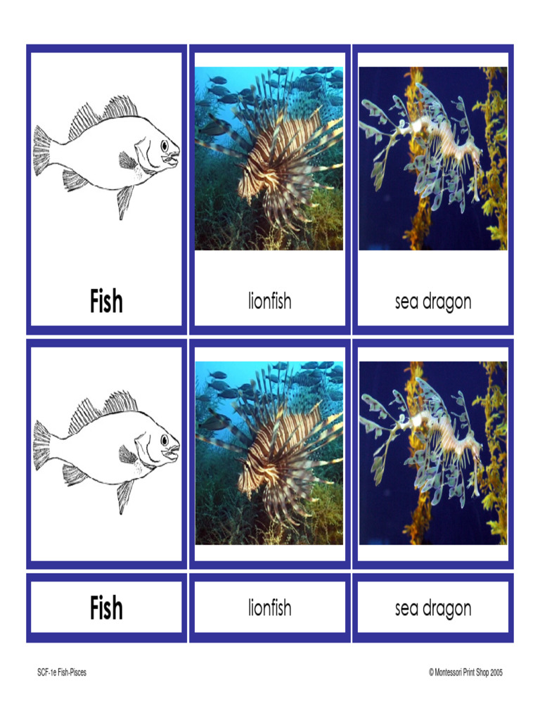 SCF 1e Fish Pisces Borders | PDF