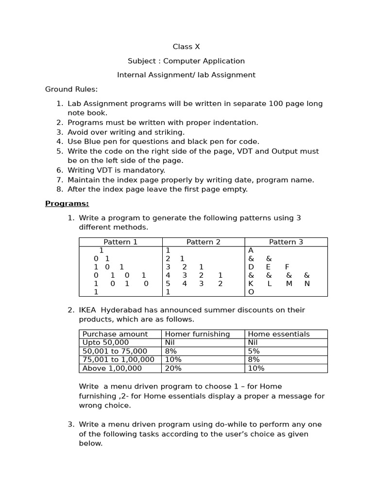 Class X Computer Application Lab Guide | PDF