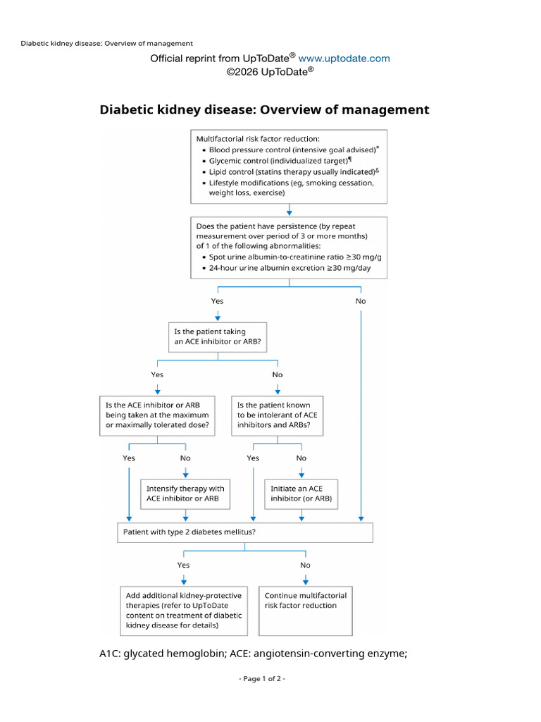 Diabetic Kidney Disease Management Guide | PDF
