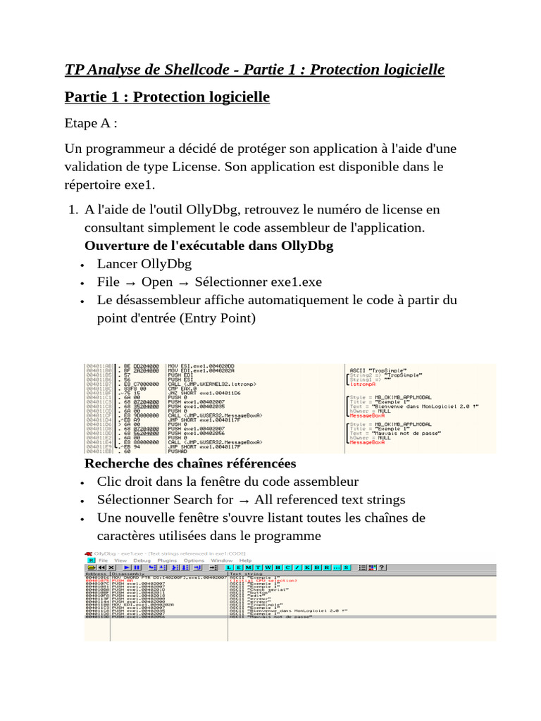 Analyse de Shellcode : Protection Logicielle | PDF | Assembleur ...