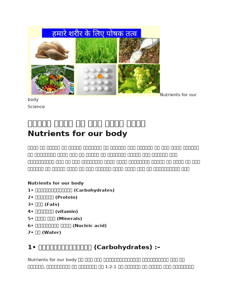 Nutrients For Our Body | PDF