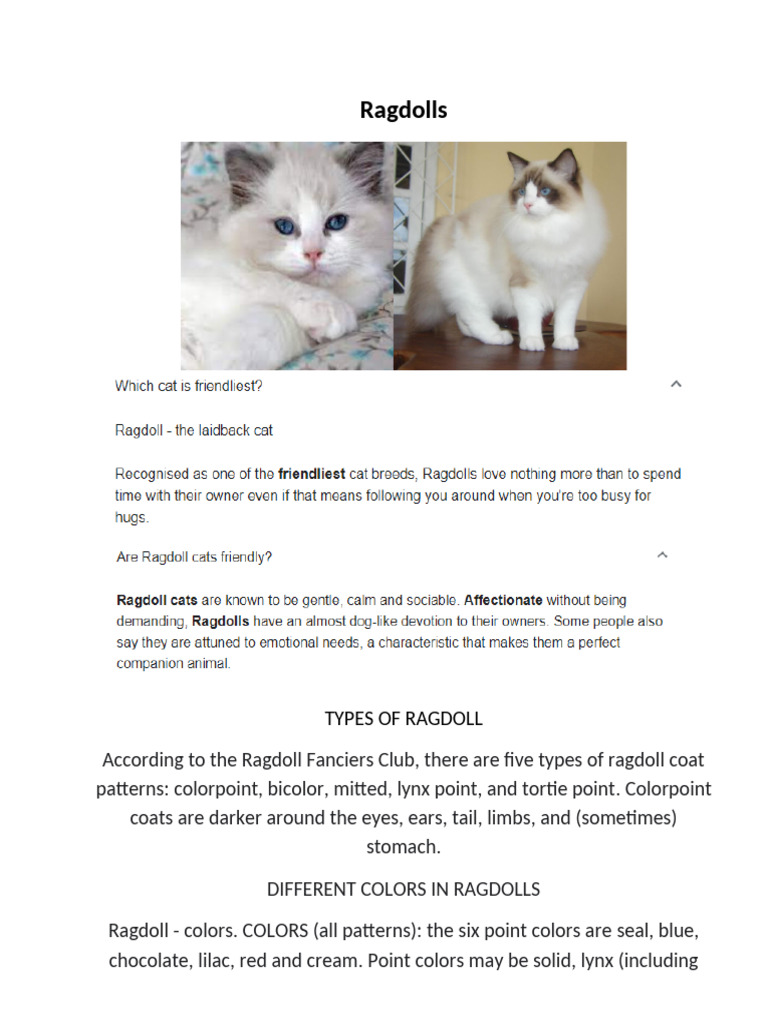 Ragdoll Cats Information | PDF