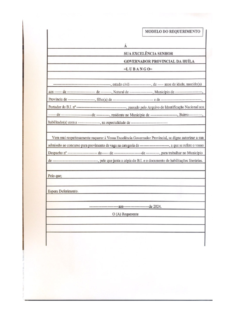 Modelo Do Requerimento | PDF