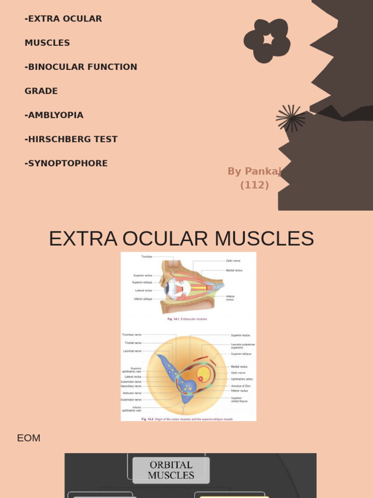 Opthal | PDF | Visual Acuity | Light