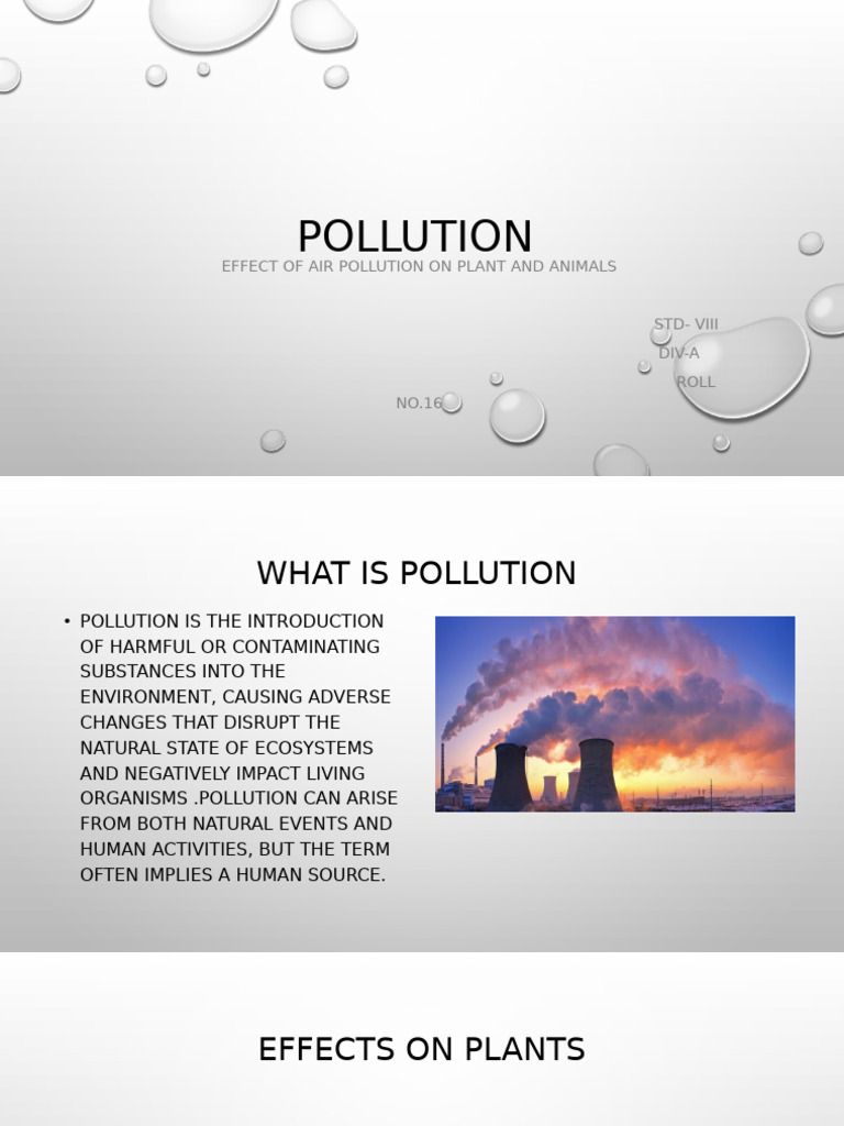 Pollution | PDF