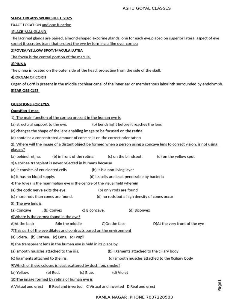 Sense Organs Worksheet 2025 | PDF | Eye | Human Eye