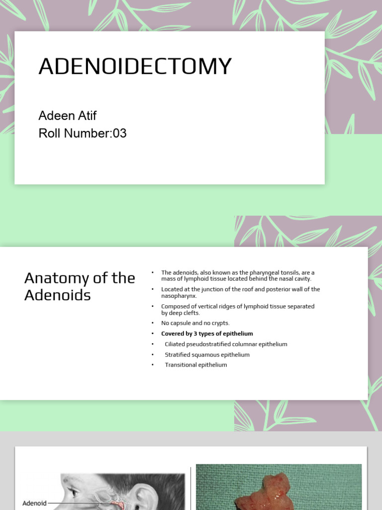 Adenoidectomy Adeen Atif | PDF | Medical Specialties | Human Head And Neck