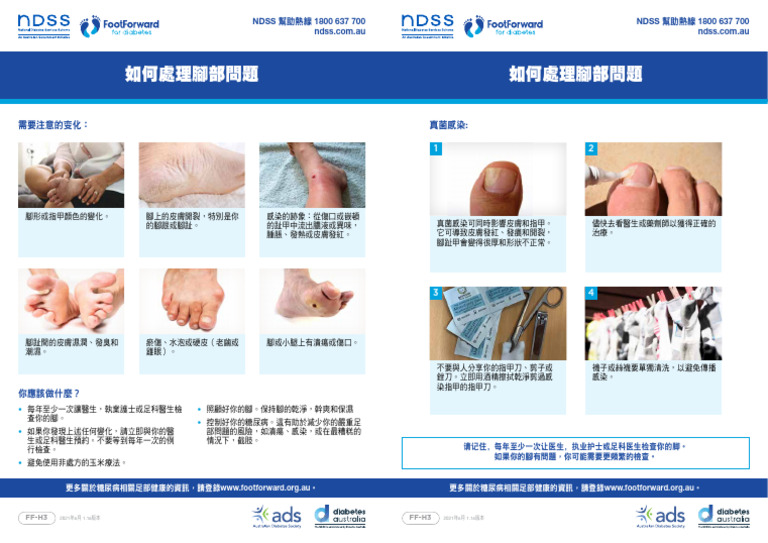 Ndss 1800 637 700 Ndss 1800 637 700: FF-H3 FF-H3 | PDF