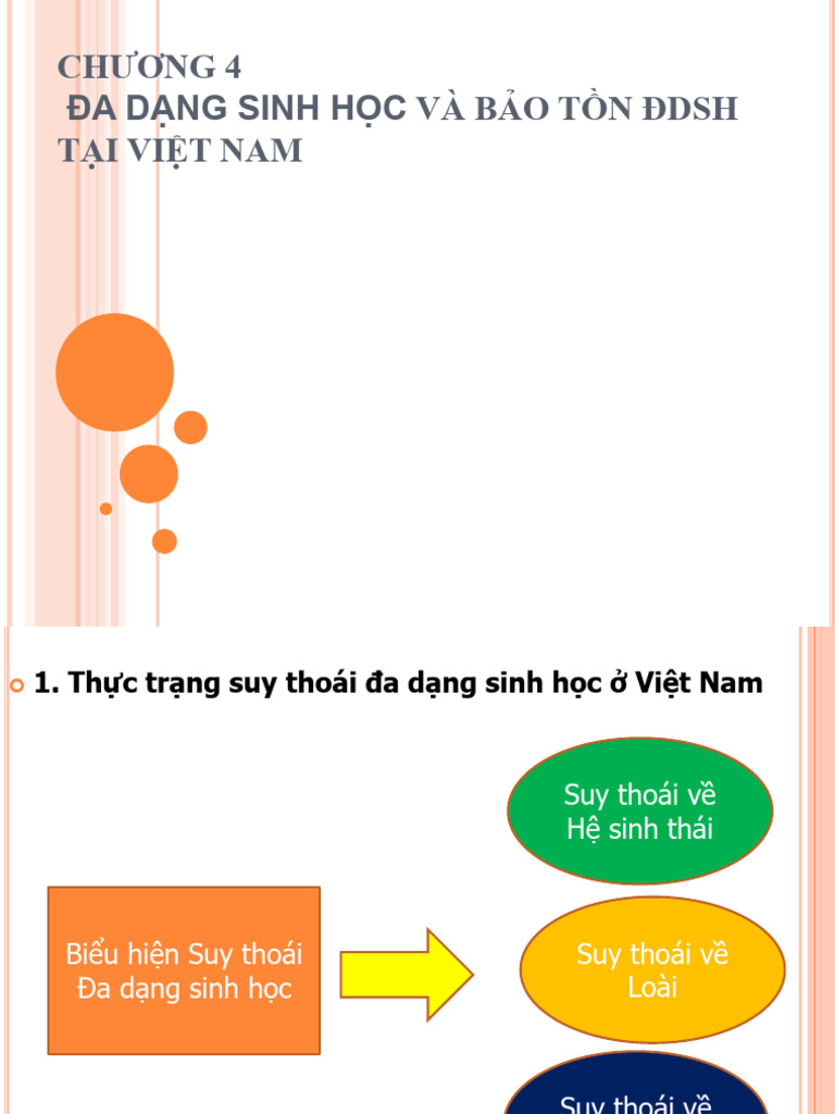 Chuong 4 - Thuc Trang Bao Ton DDSH Tai VN | PDF