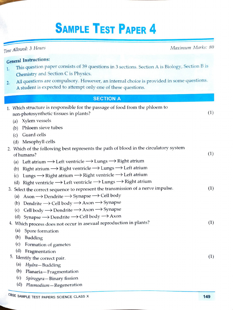 Sample Paper 4 | PDF
