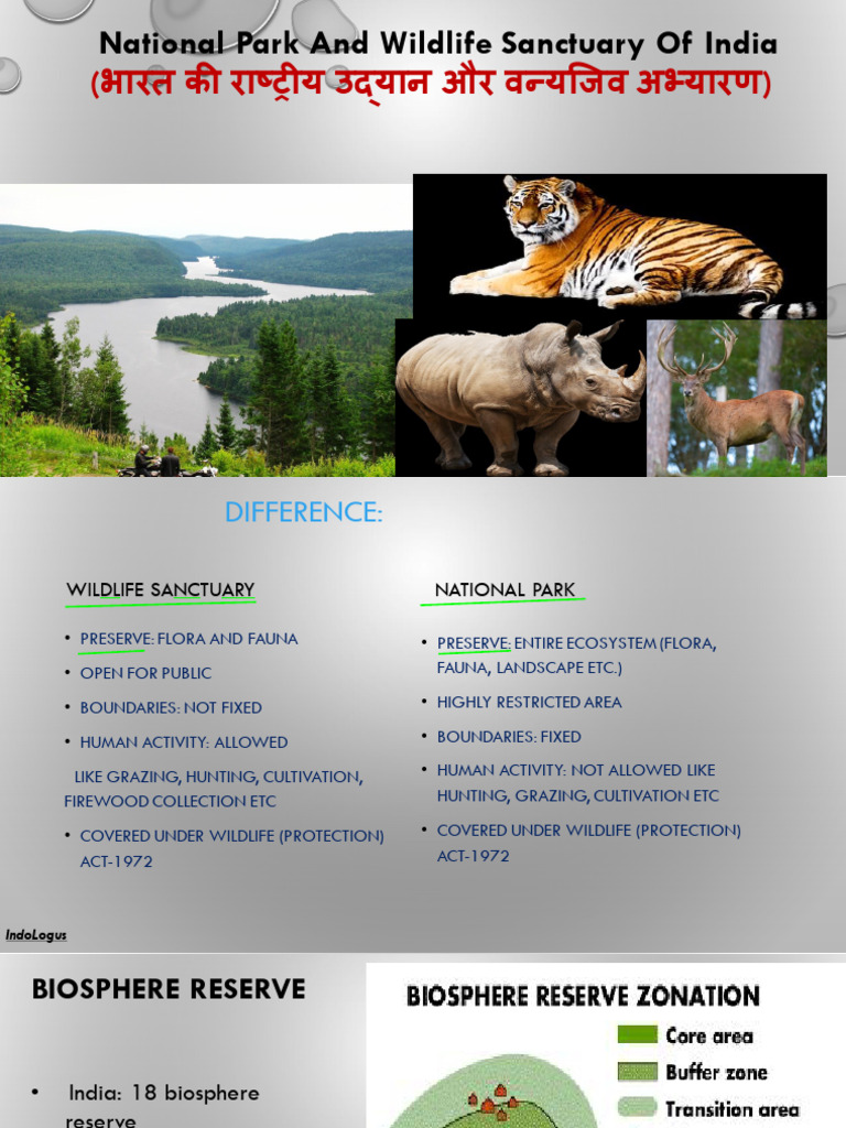 National Park and Wildlife Sanctuaries | PDF