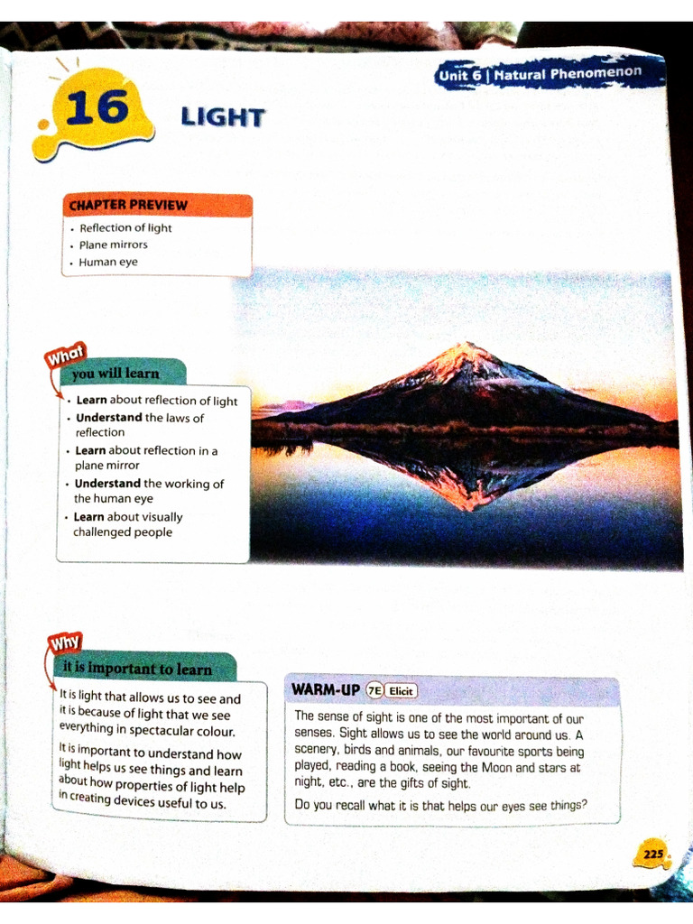ACE Scanner - 2026 - 01 - 06 | PDF