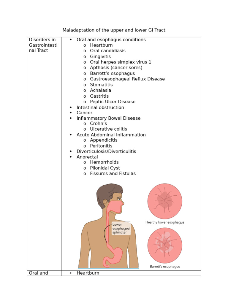 GI Tract Disorders and Treatments Guide | PDF | Gastroesophageal Reflux ...