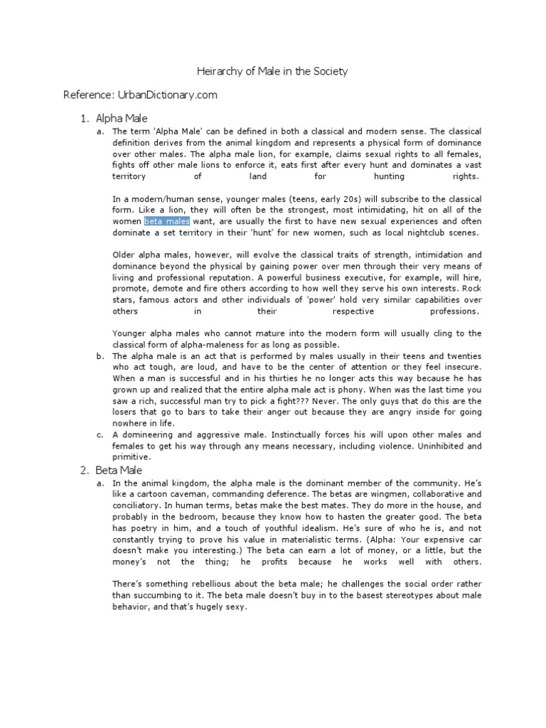 Heirarchy of Male in The Society | PDF | Adolescence | Psychology