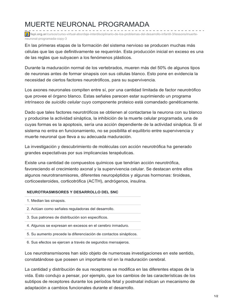 Clase 2.11 Muerte Neuronal Programada | PDF | Sinapsis | Neurona