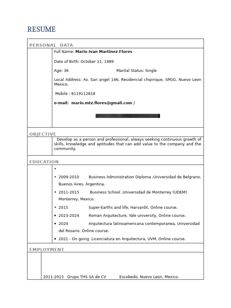 Resume - Mario Ivan Martinez Flores (1) | PDF