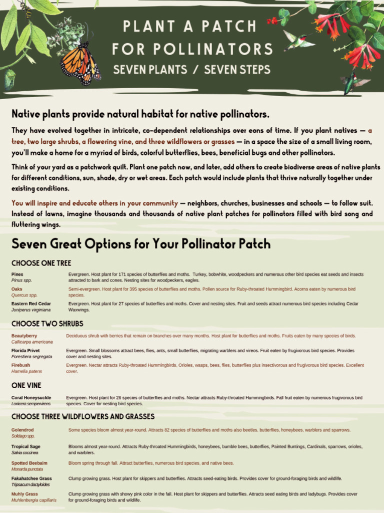 Plant A Patch For Pollinators | PDF