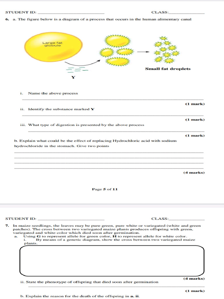 Bio For Life | PDF