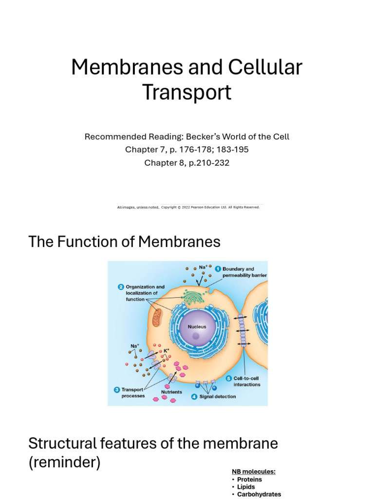Lecture 1_Membranes and Cellular Transport | PDF | Cell Membrane ...