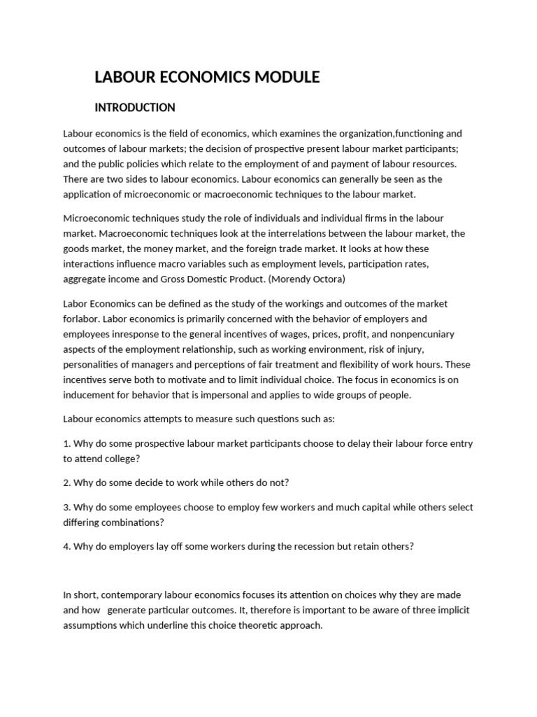 Understanding Labour Economics Basics | PDF | Labour Economics | Economics
