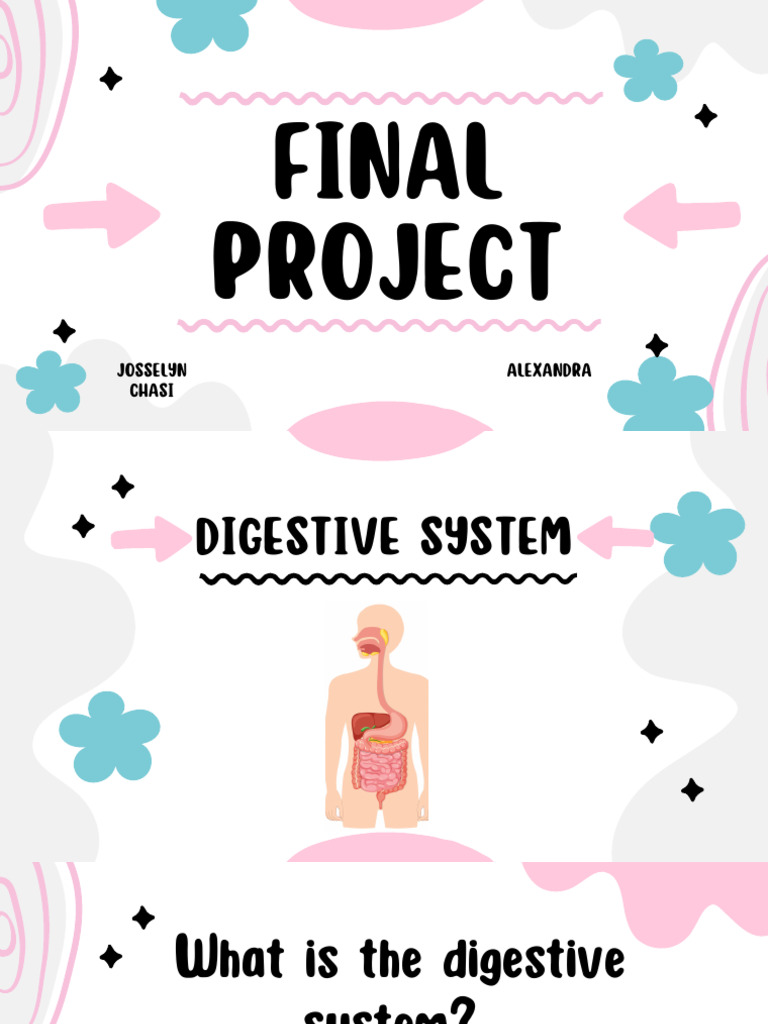 Overview of the Digestive System | PDF
