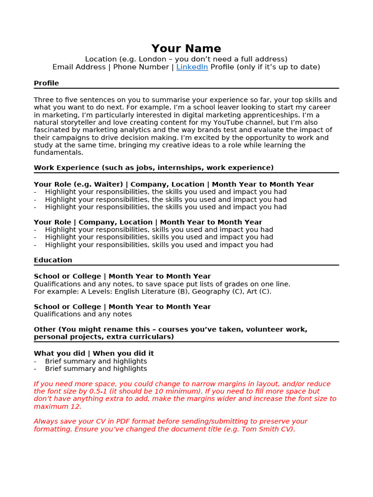 Optimized CV Template Guide | PDF