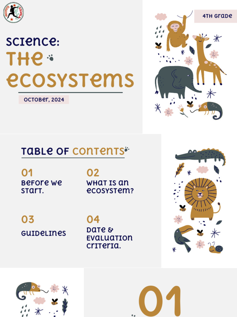4th Grade Ecosystem Presentation Guide | PDF | Ecosystem | Earth Sciences