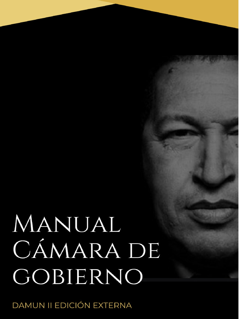 Manual Camara de Gobierno Damun Externo 2023 | PDF | Hugo Chavez ...