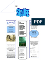 Look at The Leaflet: Sealife Sealife