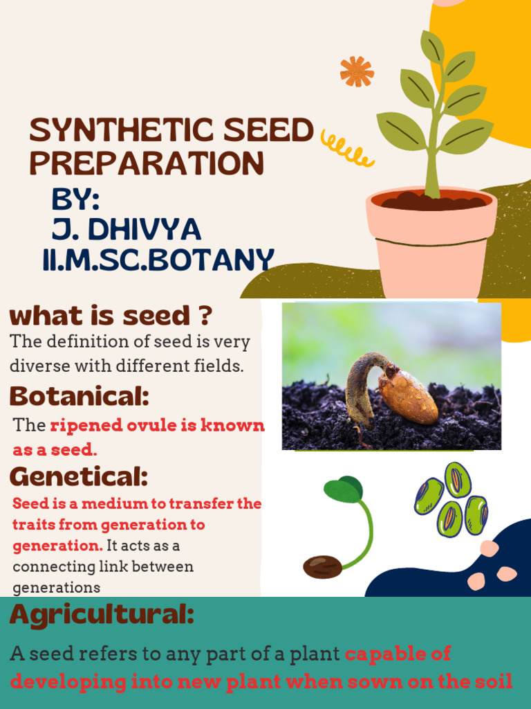 Synthetic Seed Preparation Guide | PDF | Seed | Embryo