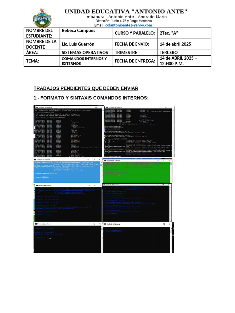 Comandos Internos y Externos en Sistemas | PDF