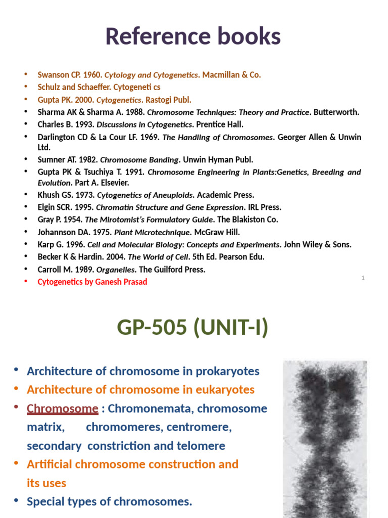 Cytogenetics: Chromosome Structures Explained | PDF | Histone | Ploidy
